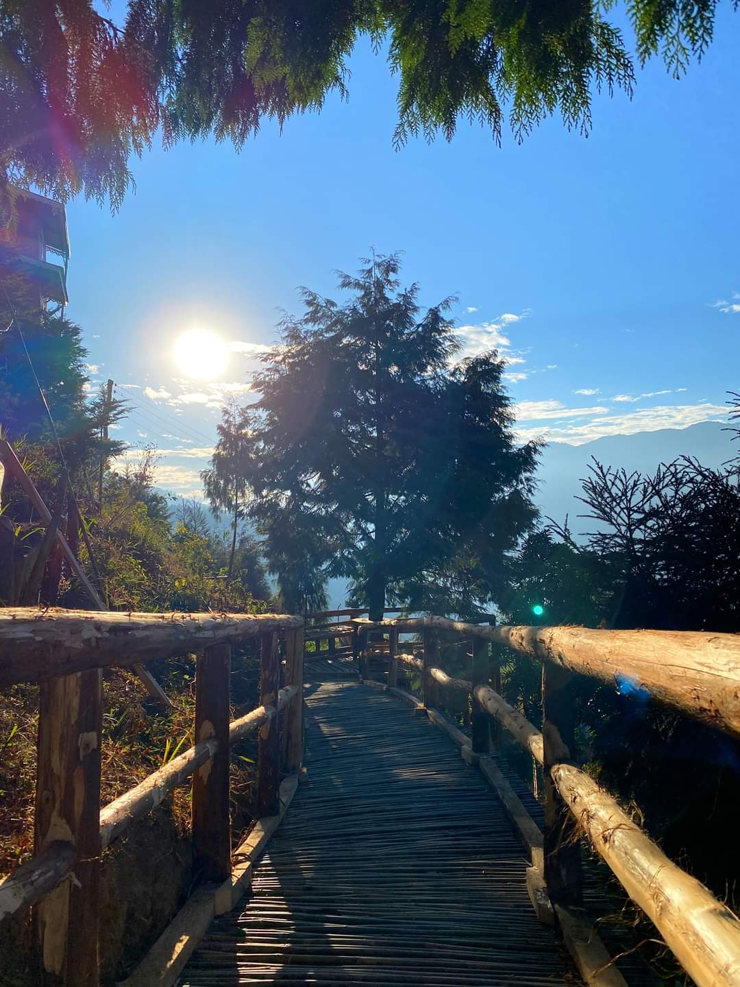 Mim Tea Homestay Nomadic Weekends