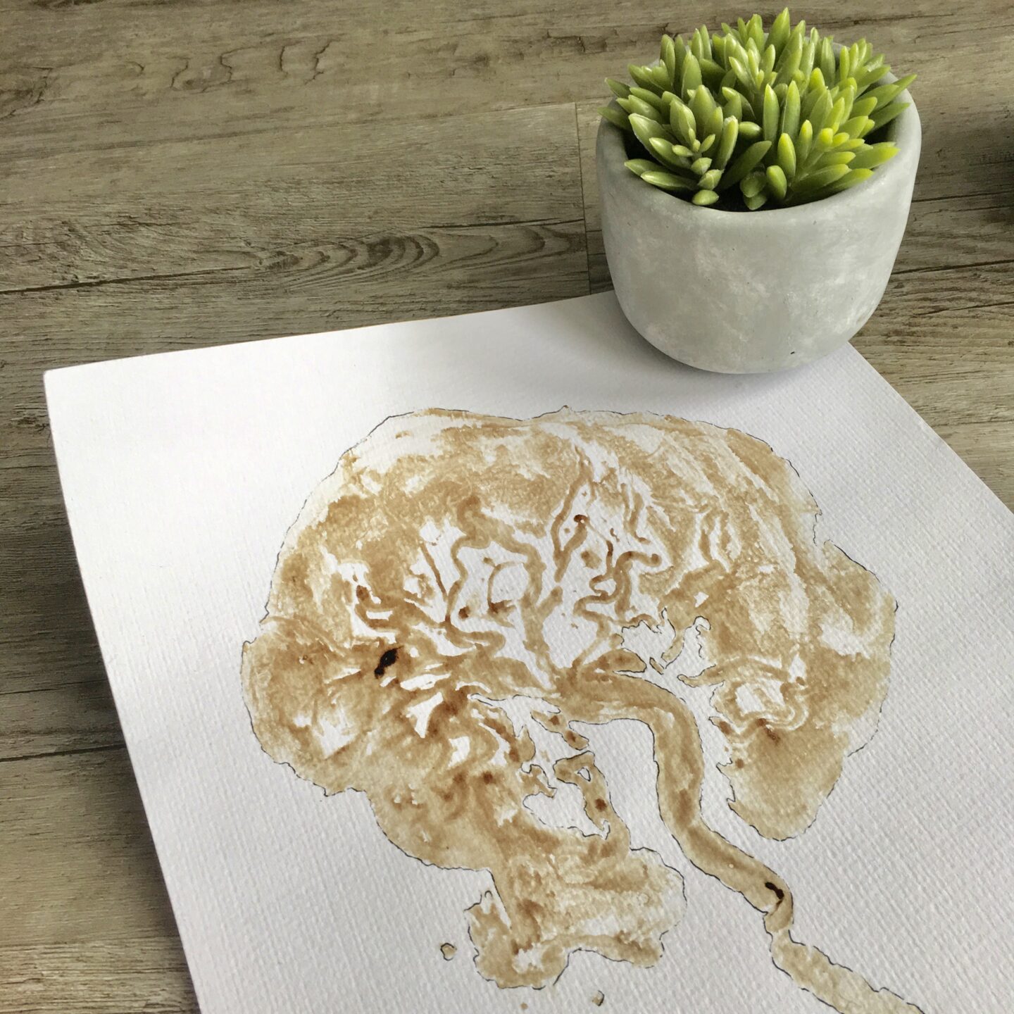 Placenta encapsulation an honest experience Nomipalony