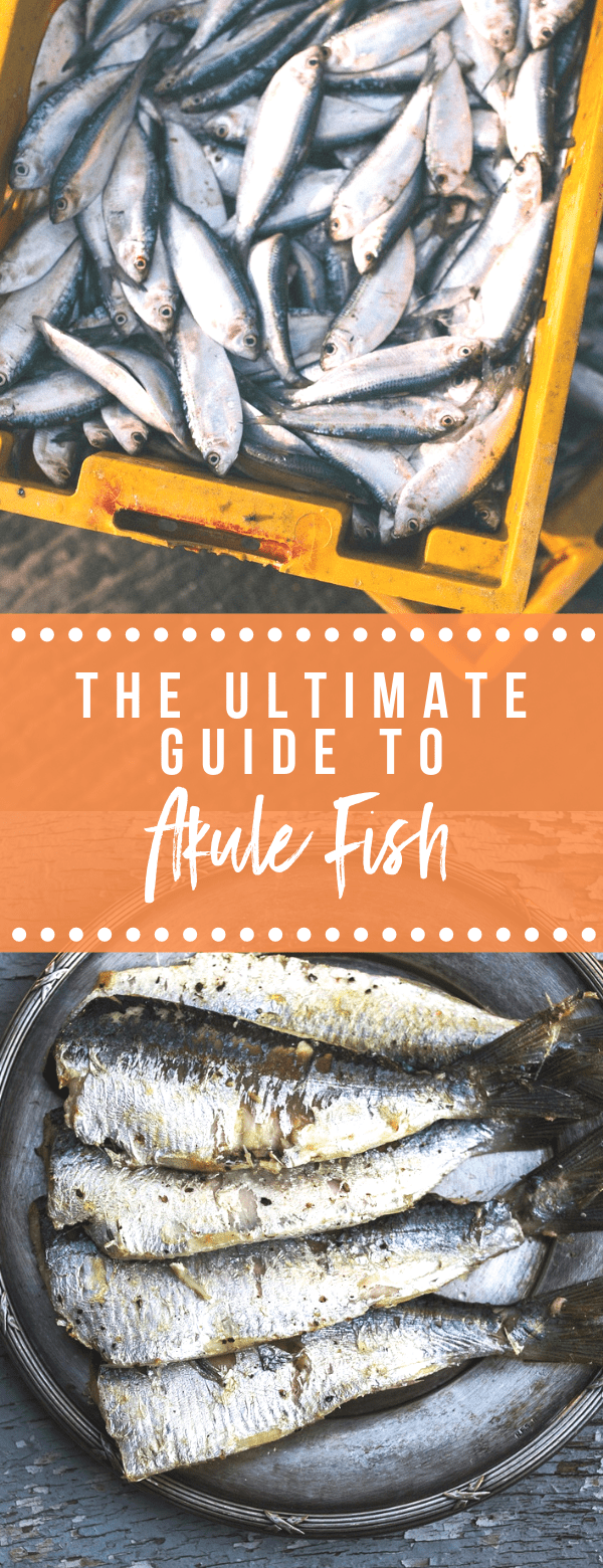 The Ultimate Guide to Akule Fish NomList