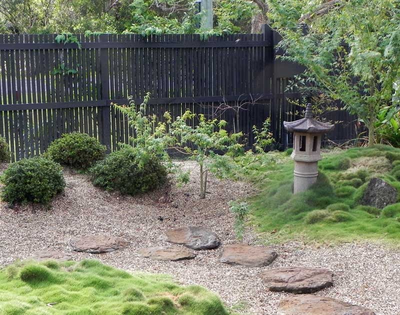 Premium No Mow Grass Lawn Seed Low Maintenance Grass Lawn Care