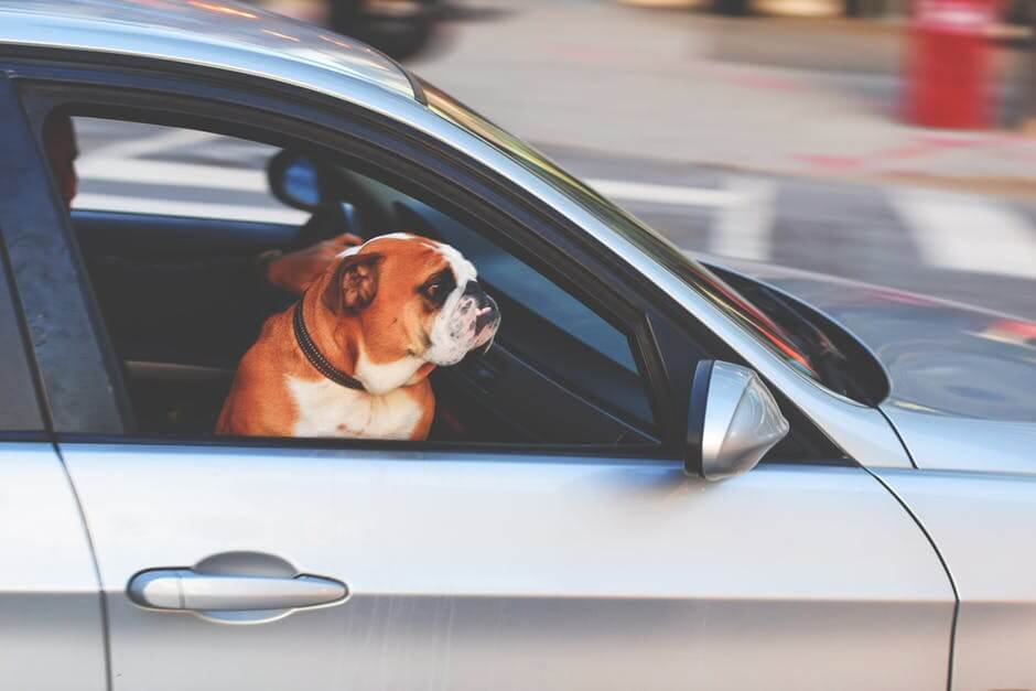 pexelsphoto236452 Non Fault Car Accidents