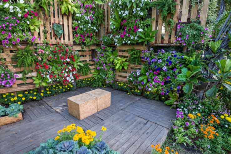 Terbaru Giardino Verticale In Casa 2022