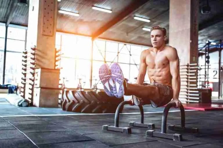 V Shred Ripped in 90 Days Program Is It Legit? (Review) NOOB GAINS