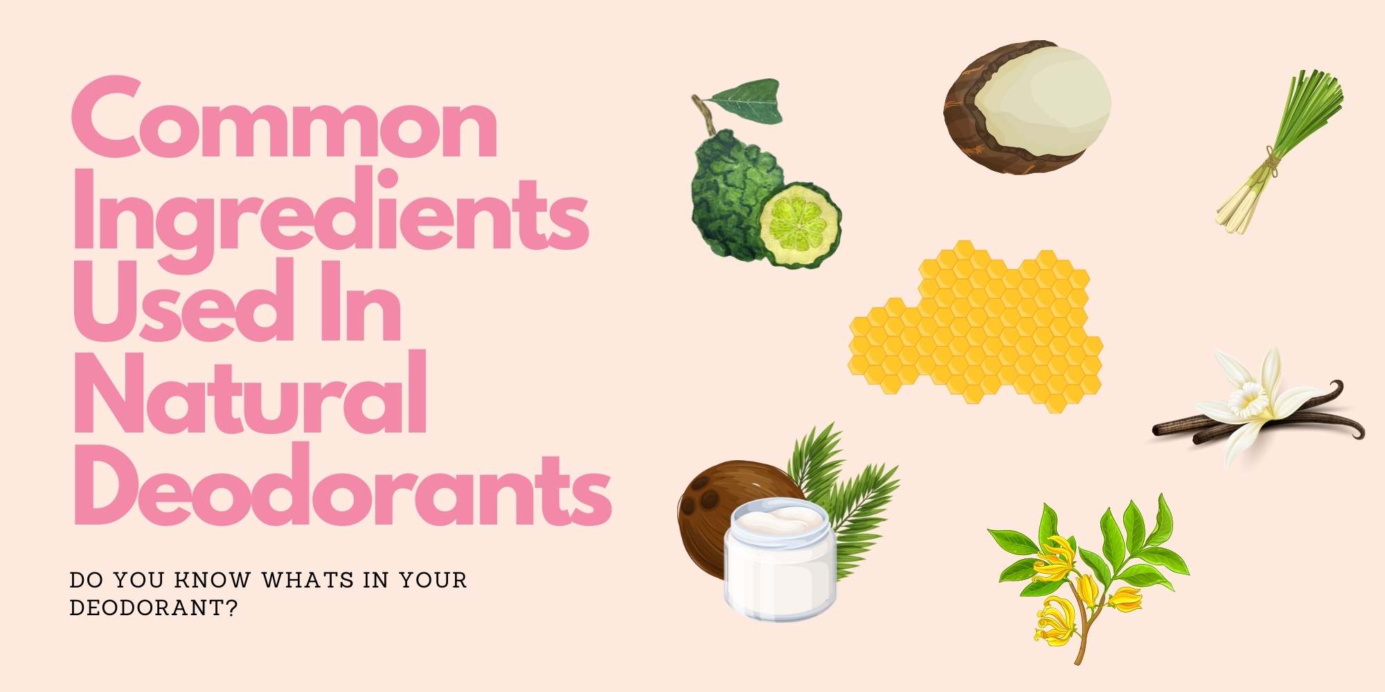 Common Ingredients in Natural Deodorants