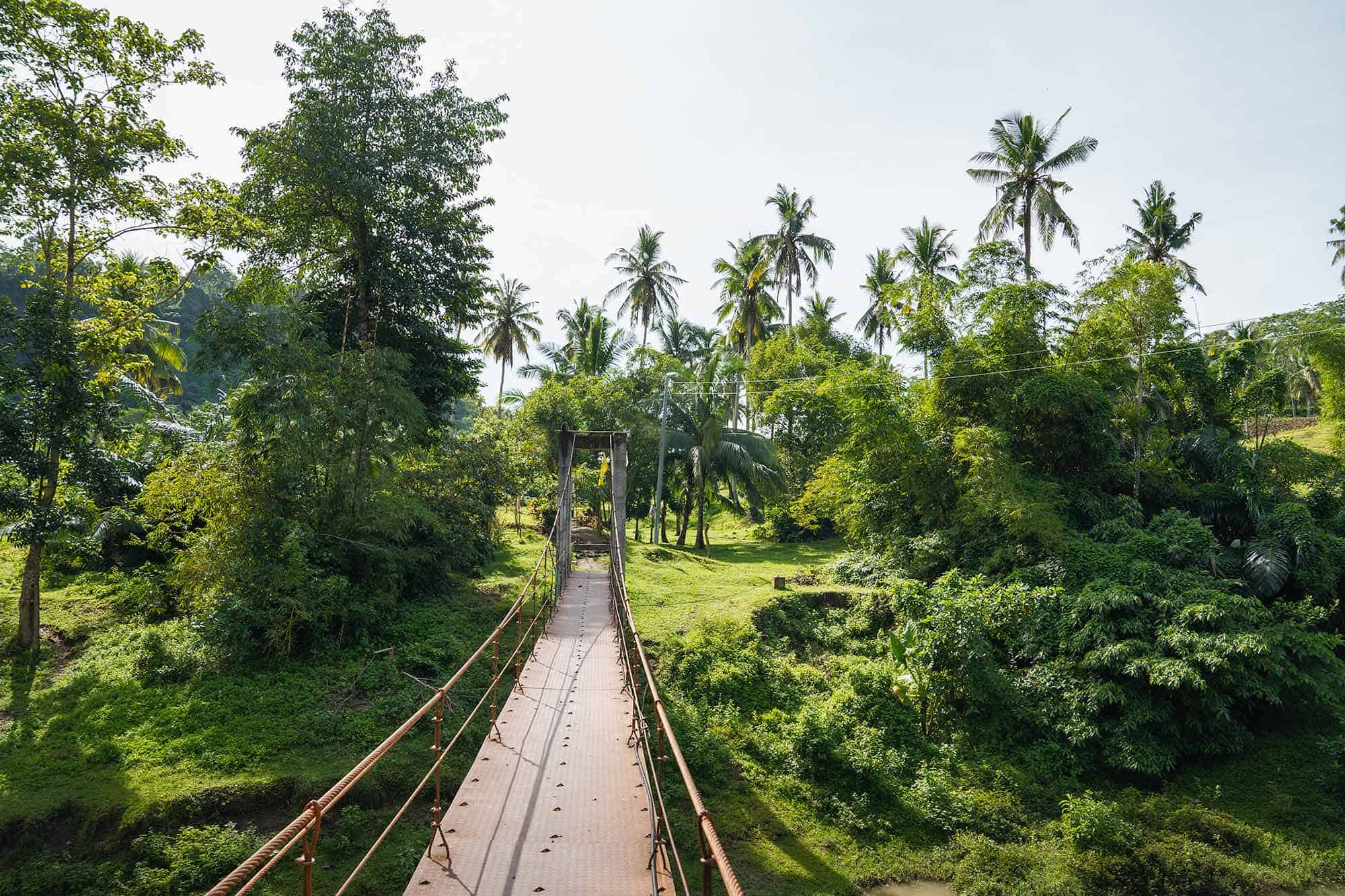STA CATALINA MONKEY SANCTUARY DUMAGUETE DAY TRIP (2022) Ultimate