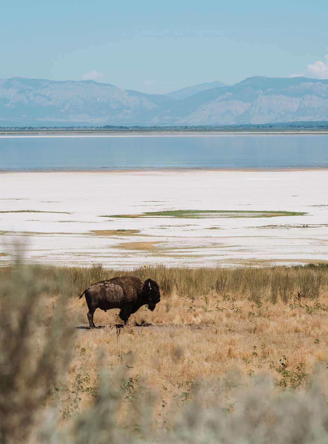 ANTELOPE ISLAND STATE PARK, UTAH (2022) Best Guide