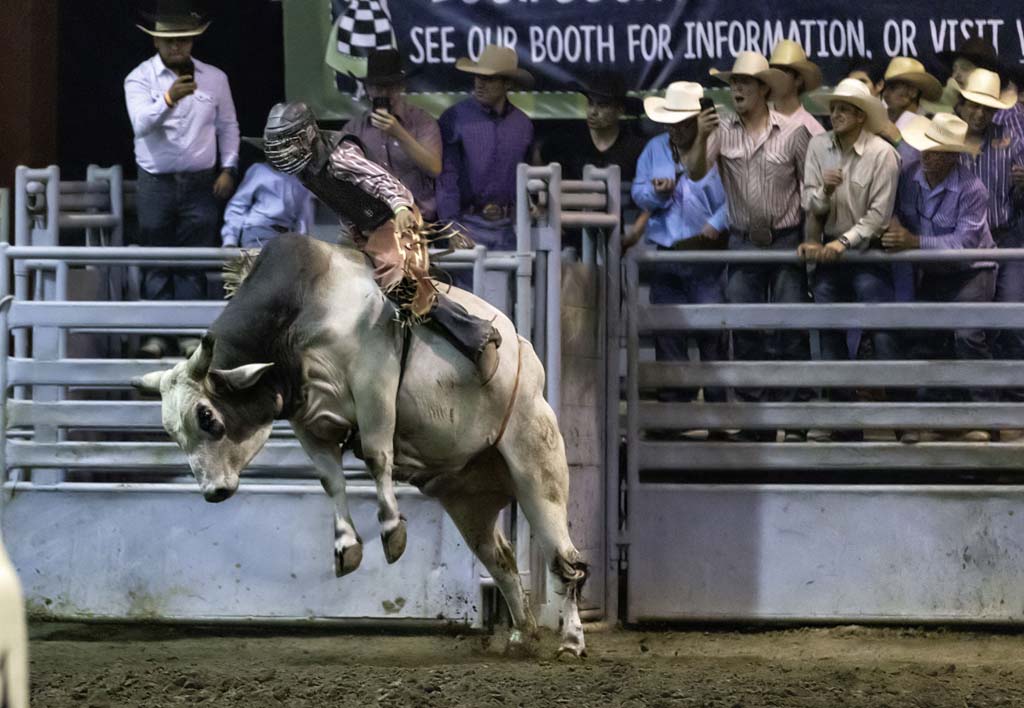 Ranch Rodeo / Bull Riding Events