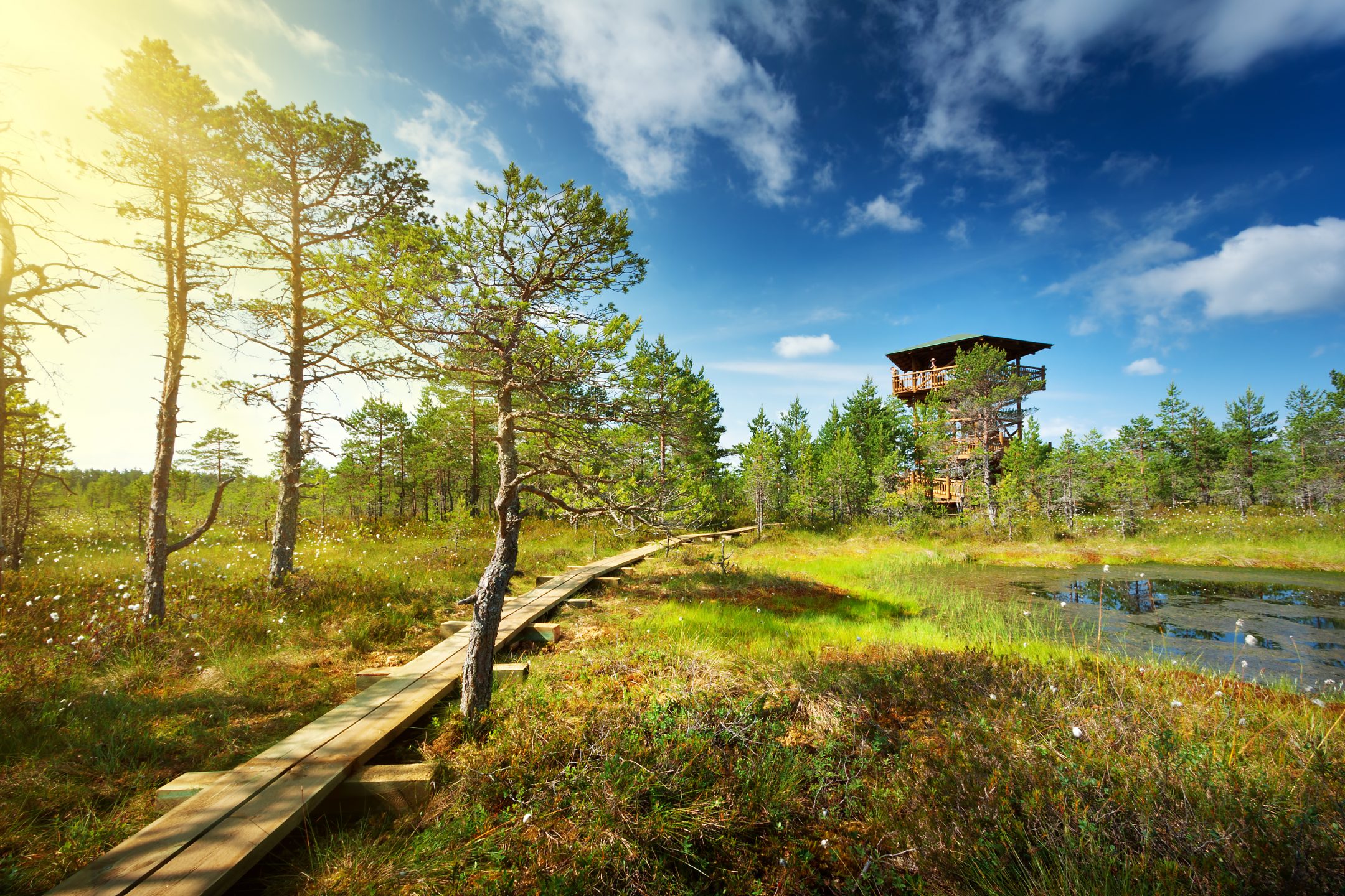 Places to Visit in Estonia Lahemaa Day Trip Nordic Experience