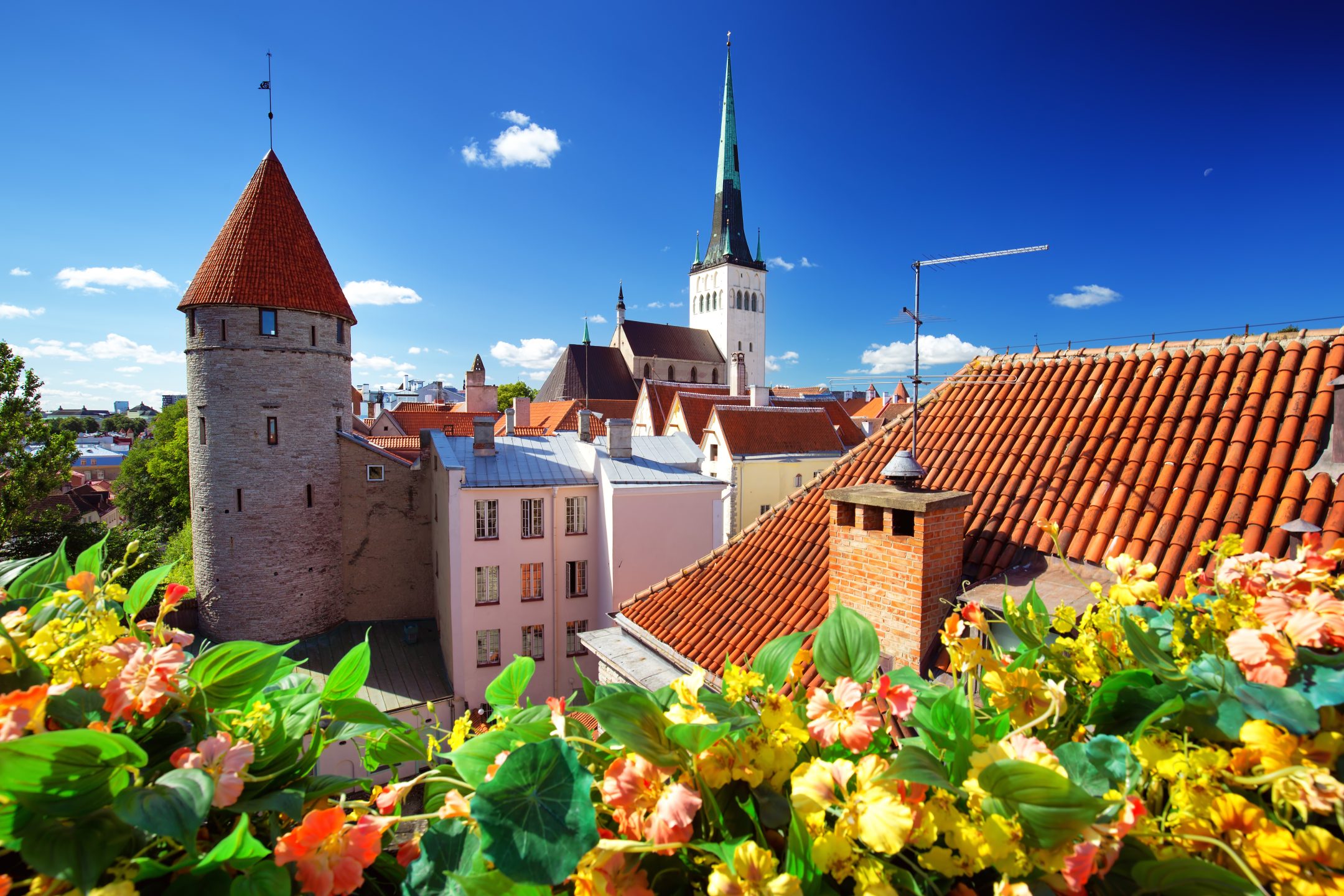 Visit Estonia Tallinn Old Town & Viking Village Nordic Experience