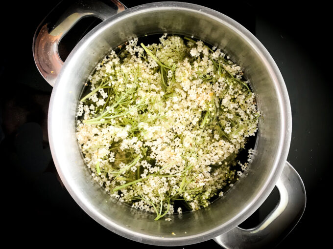 Elderflower Cordial and Shrub Recipe
