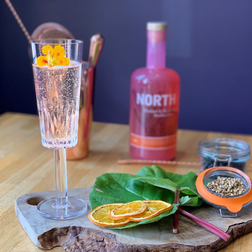 gin fizz image NORTH42 Gin