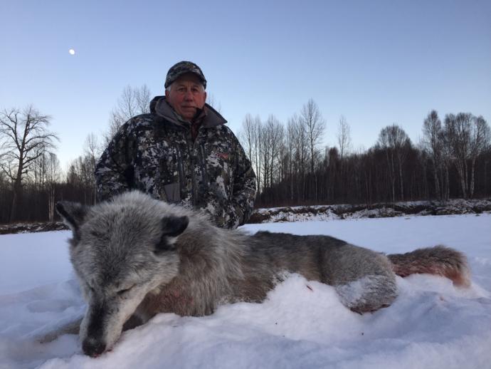 Alberta Wolf Hunting Canada Wolf Hunting Outfitters, Guide