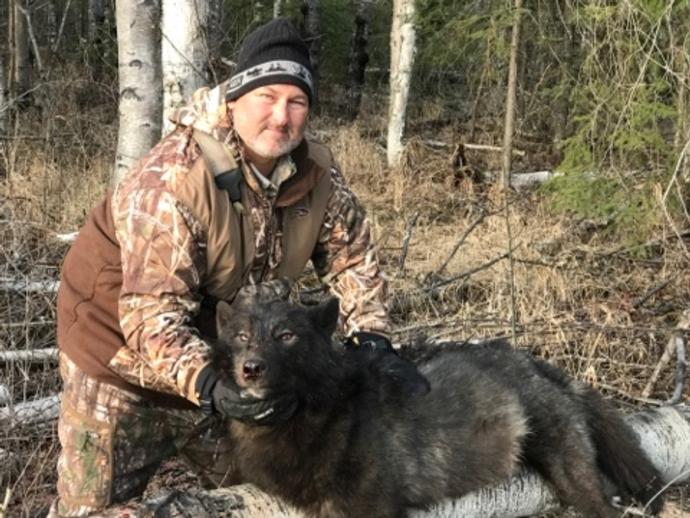 Alberta Wolf Hunting Canada Wolf Hunting Outfitters, Guide