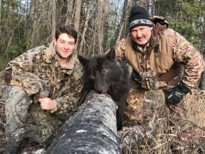 Alberta Wolf Hunting Canada Wolf Hunting Outfitters, Guide