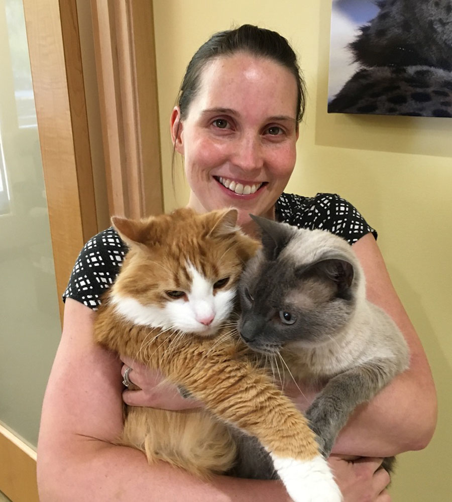 Surgery Day What to Expect North Bay Veterinary Dentistry