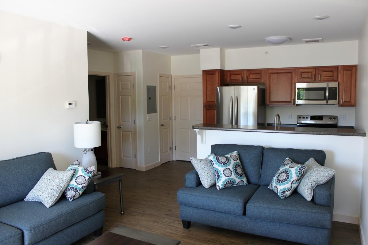 North Branch Construction Portfolio PolkaDot Luxury Apartments