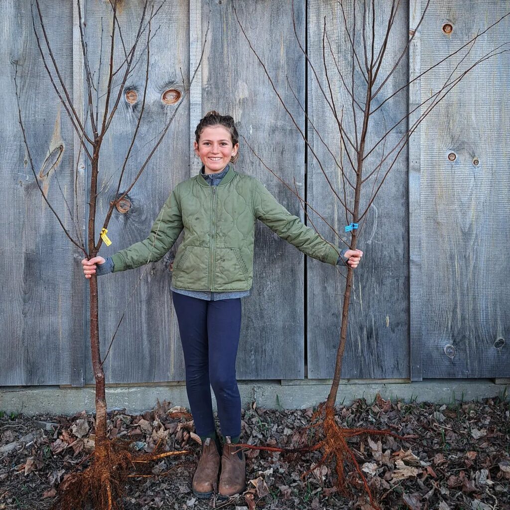 Spring Fruit Tree Sale 2023 North Branch Farm
