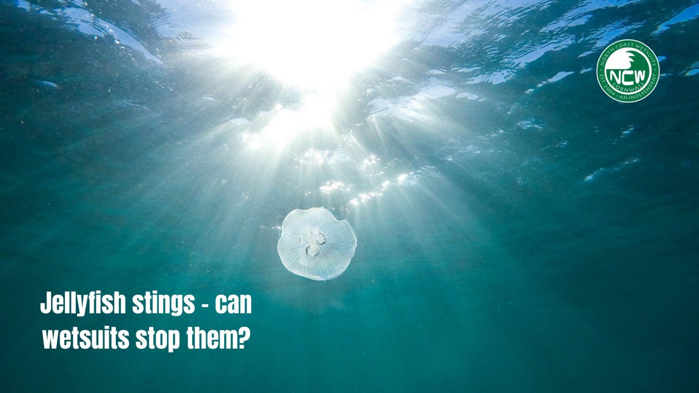 Jellyfish stings can wetsuits stop them? North Coast Wetsuits NCW