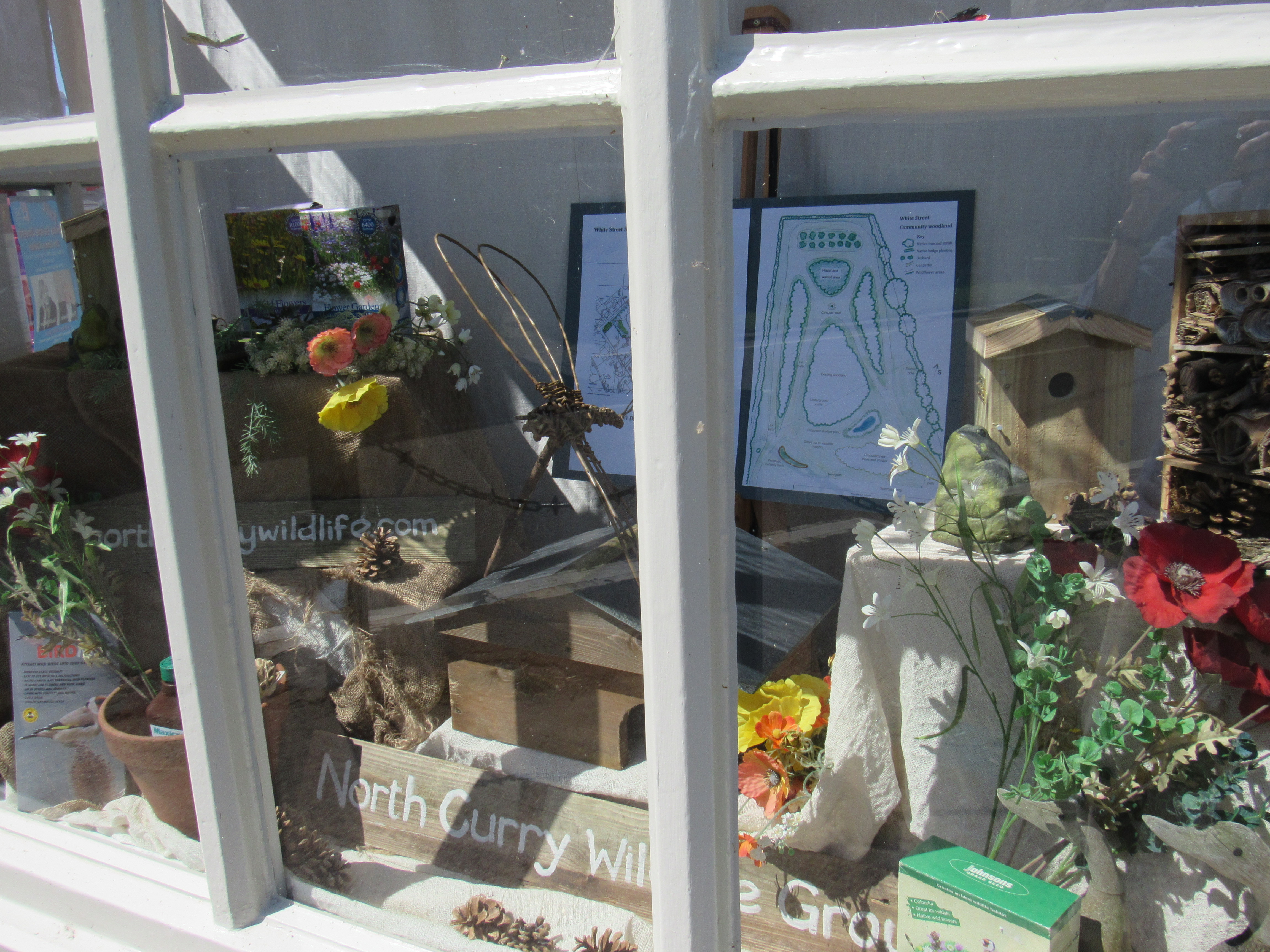 North Curry Wildlife