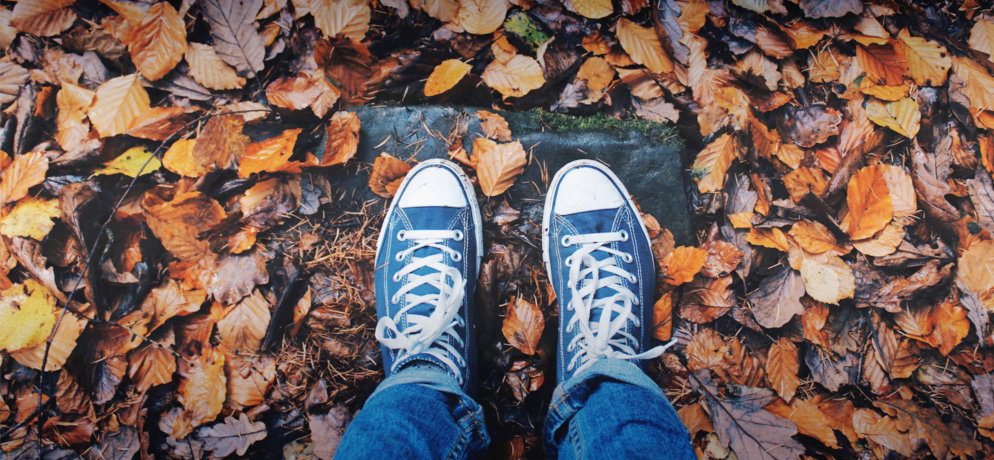 Next Steps northend Properties