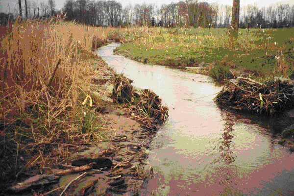 Streambank Stabilization Best Management Practices