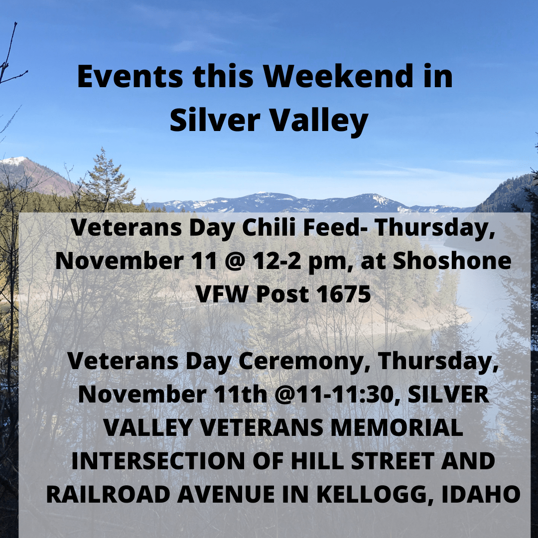 Veterans Day 2023 Events Near Me