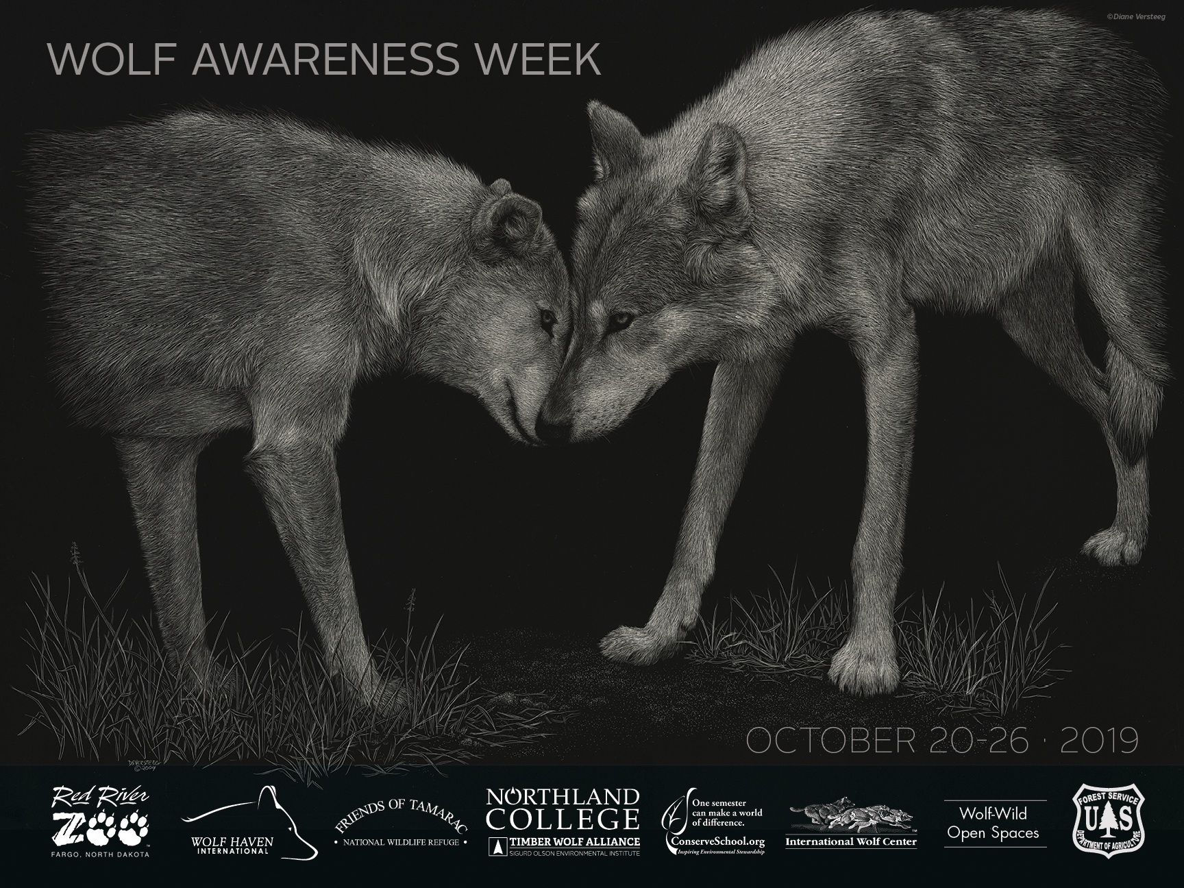 Wolf Awareness Week Poster Northland College