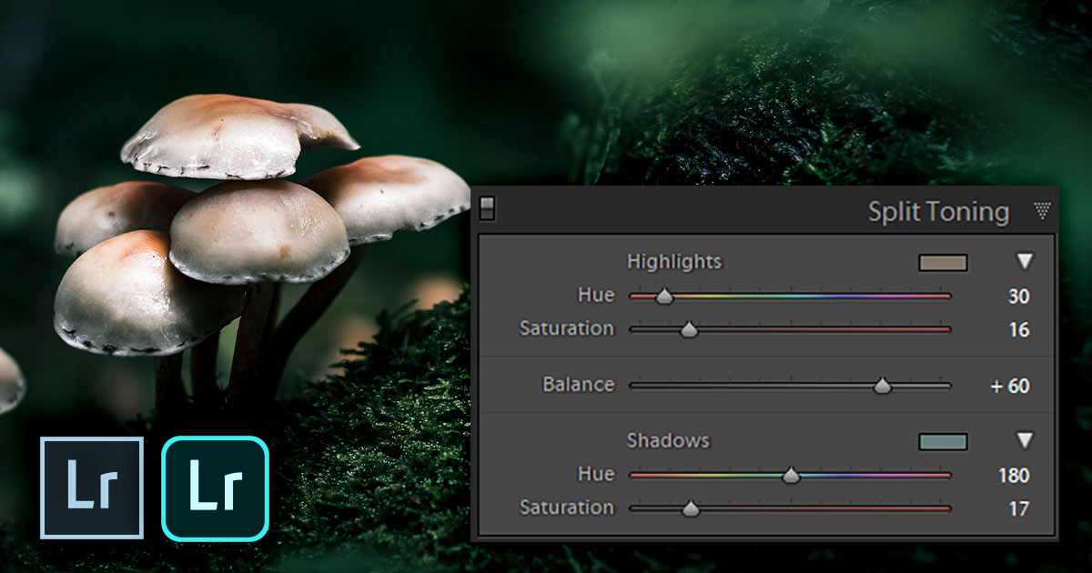 What is Split Toning and How to Use it in Lightroom? — Northlandscapes