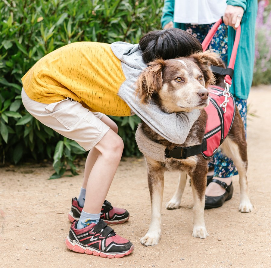 InStore Adoption Event NorthPoint Pets & Company