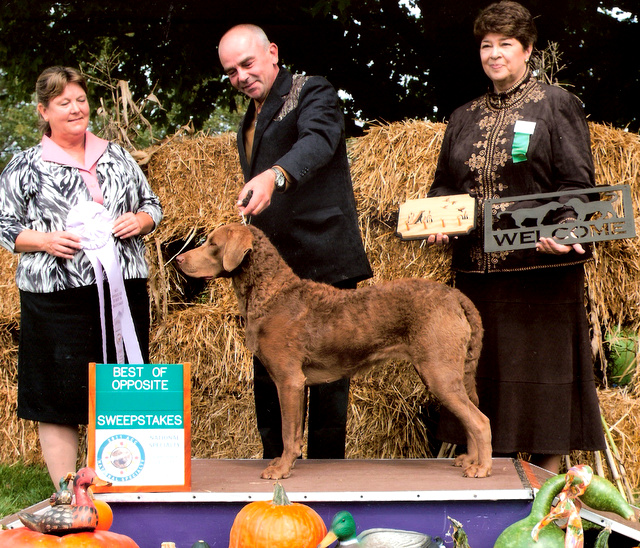 North Shore Kennels Titleholders