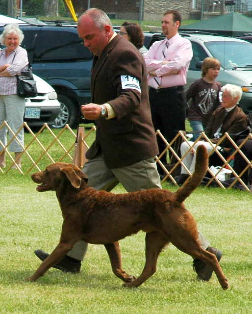 North Shore Kennels History