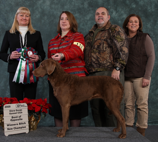 North Shore Kennels History