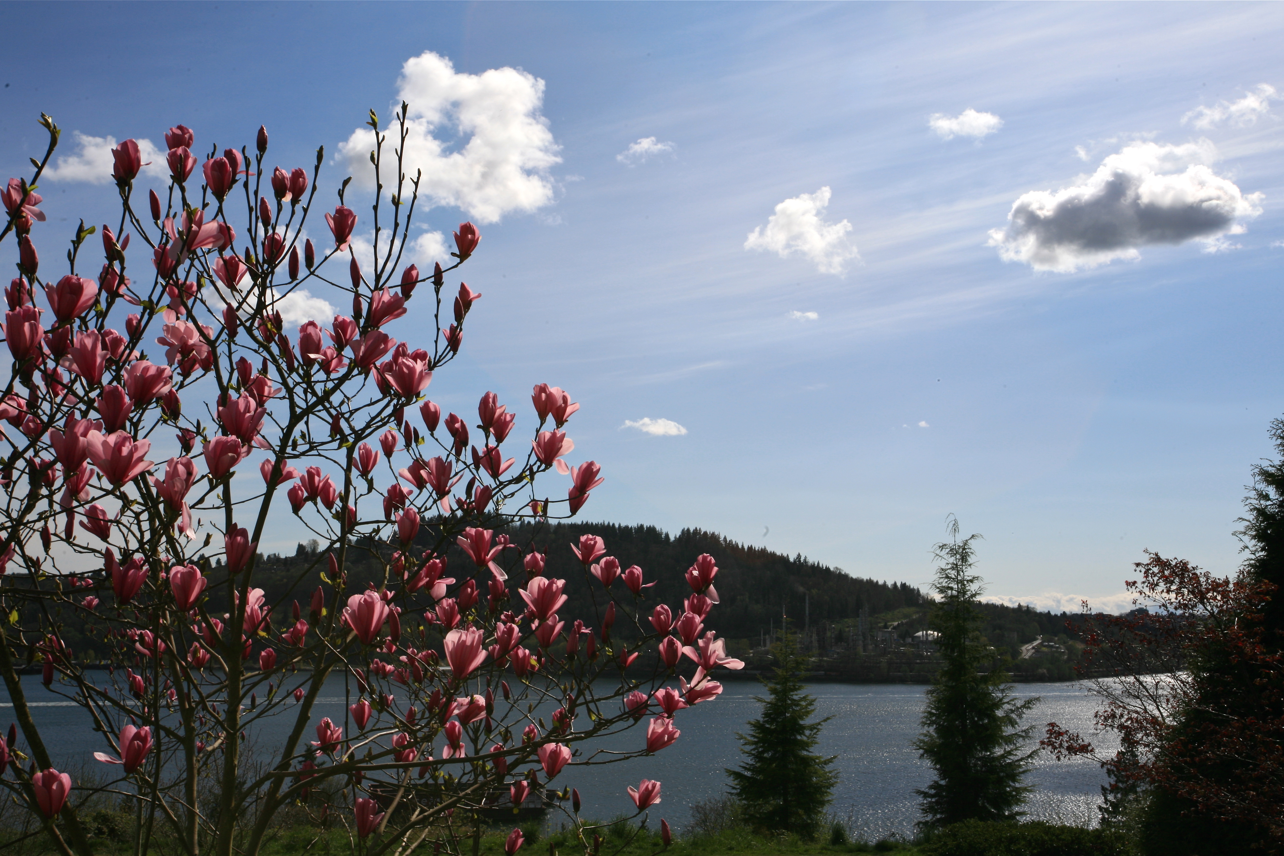 Roche Point Real Estate Roche Point Homes & Condos For Sale