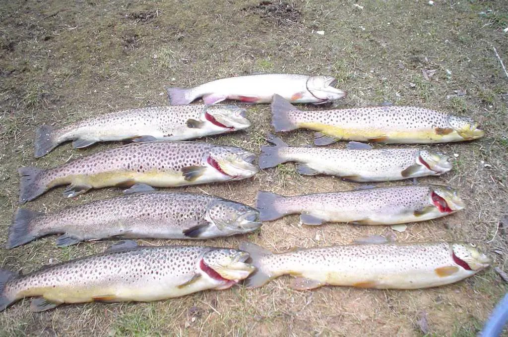 Liberty Lake Photo Gallery NWFR