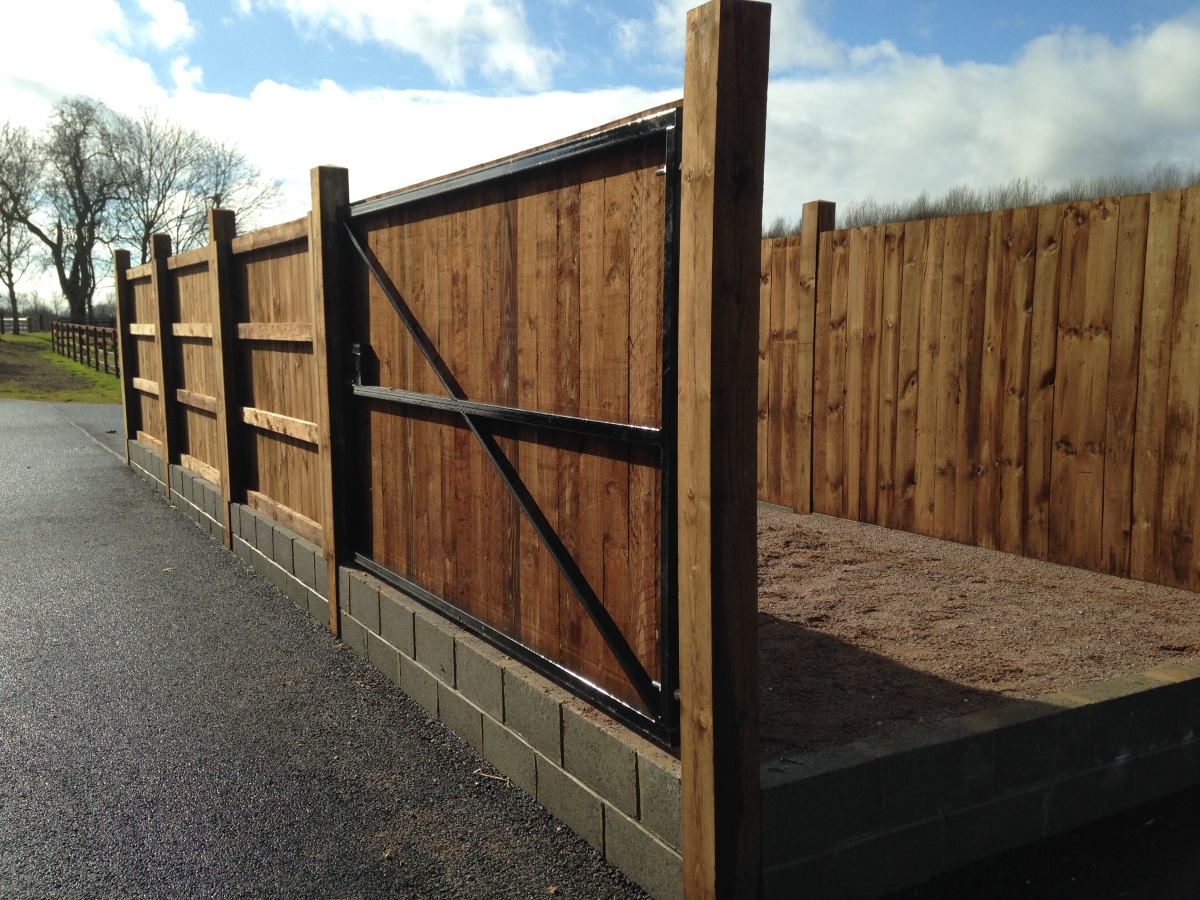 Top Horse Loading Ramp Tips Nortons Fencing