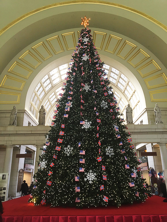 A Tree Decorated With Flags And Friendship The Norwegian American