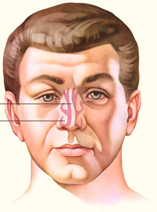 Laser Nasal Surgery to Correct Nasal Blockage