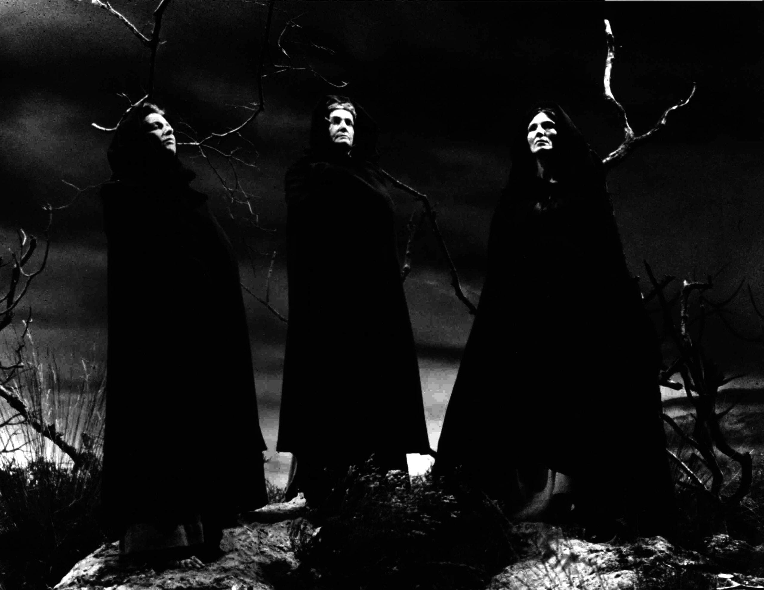 Wicked Witch The Three Witches Nosetouch Press