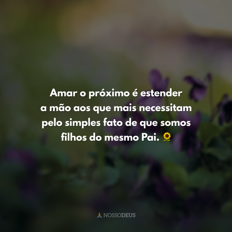 50 frases de amor ao próximo para amar o irmão como a si mesmo