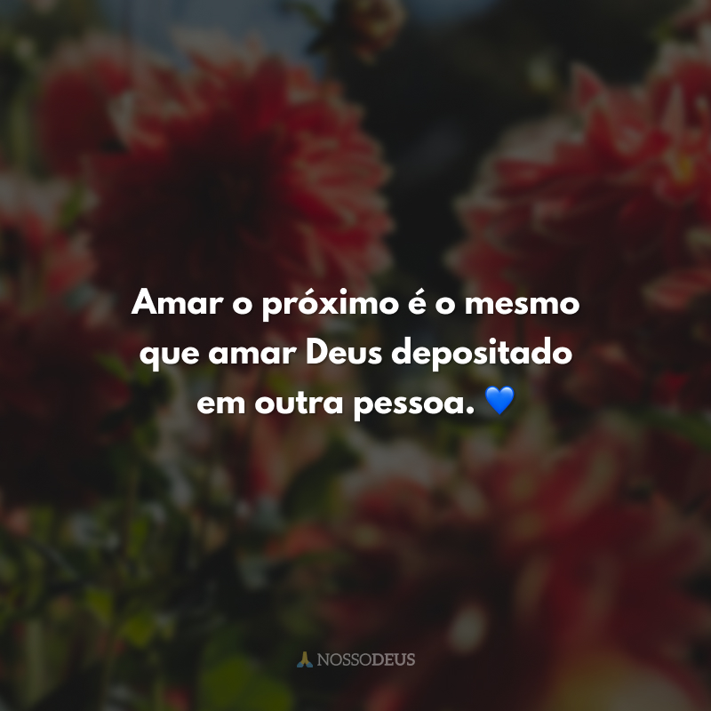 50 frases de amor ao próximo para amar o irmão como a si mesmo