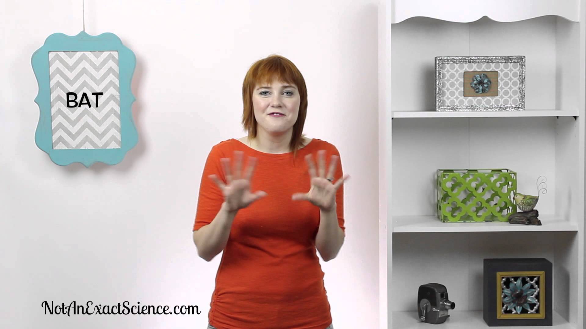 Bat in Baby Sign Language, ASL