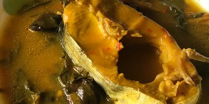 Resepi Masak Tempoyak Ikan Patin / Masak Tempoyak Ikan