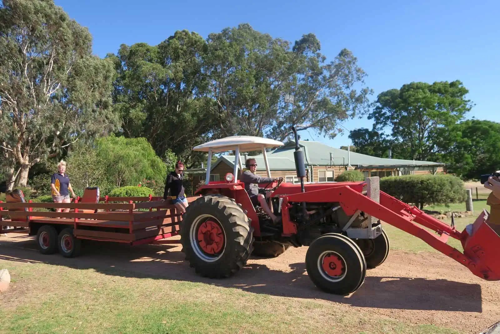 Sunflower Animal Farm Margaret River • Five things that amazed us