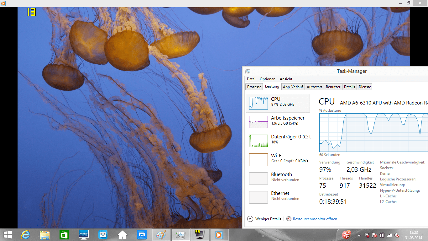 TestUpdate Lenovo IdeaPad G5045 Notebook Tests