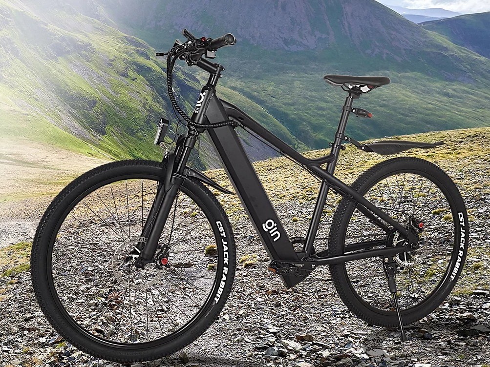 GIN X cheaper electric bike with Tesla grade battery and 75-mile range