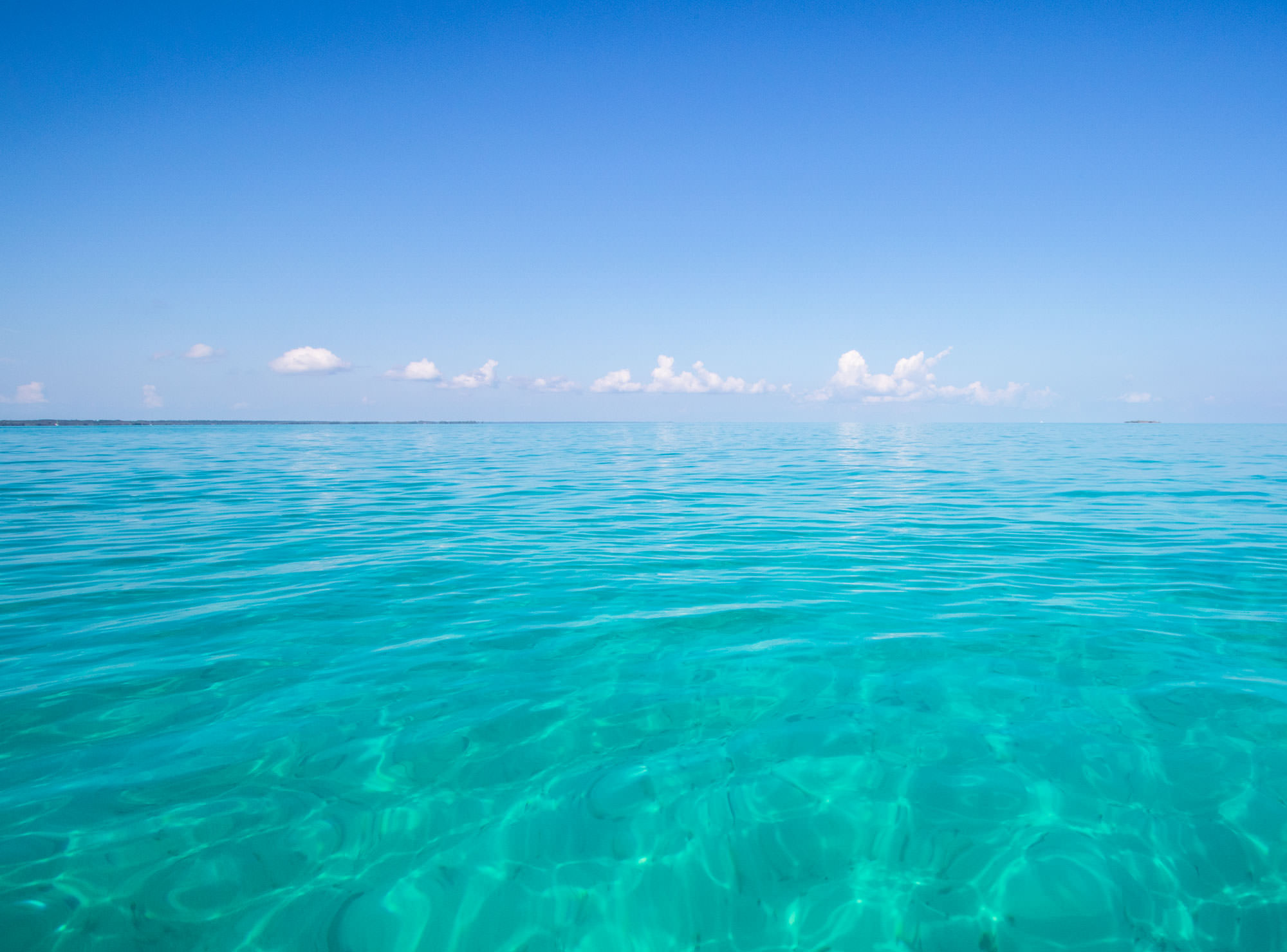 The Abaco Islands (Little Abaco to Sandy Point)