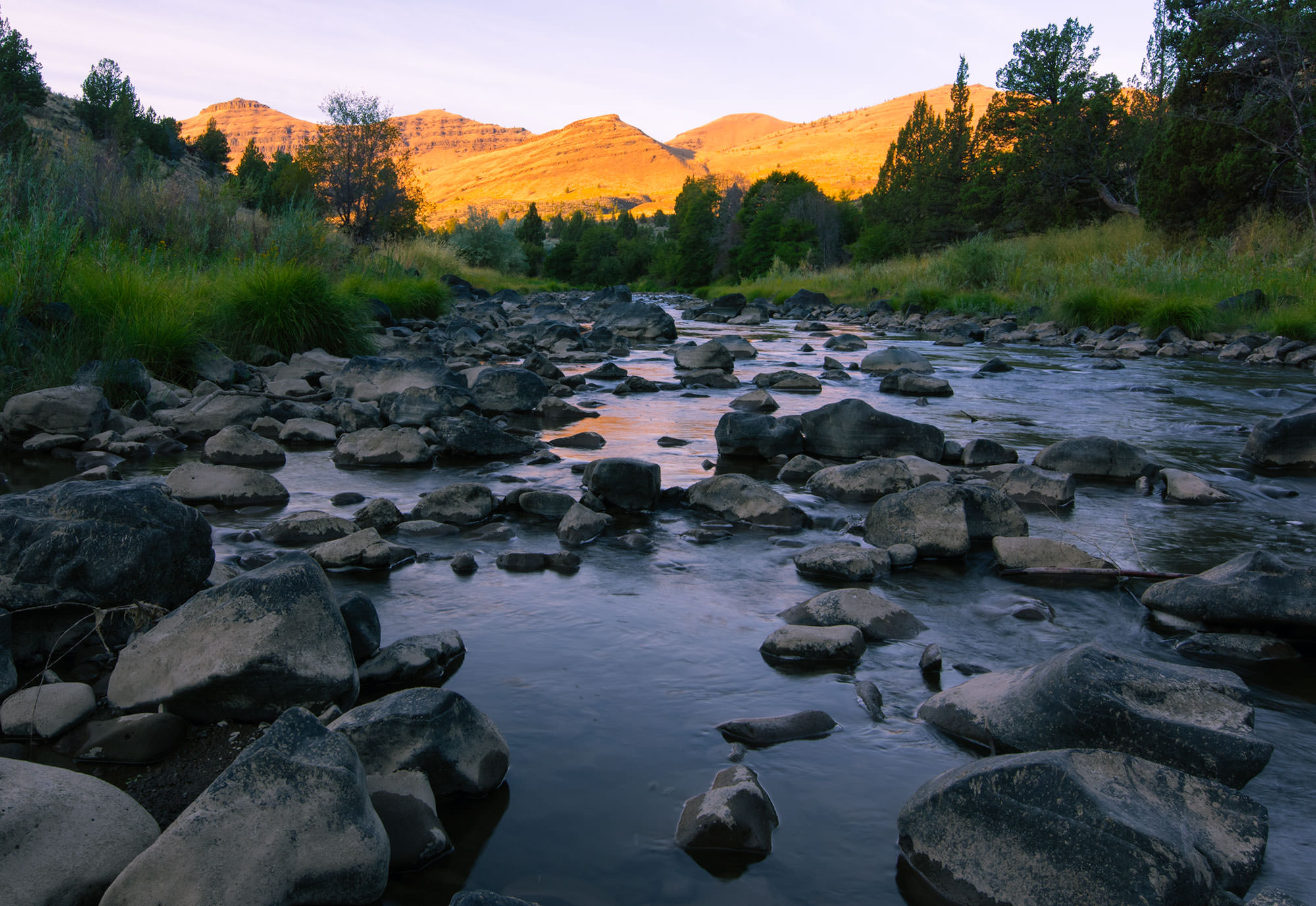 Road Notes from John Day Country