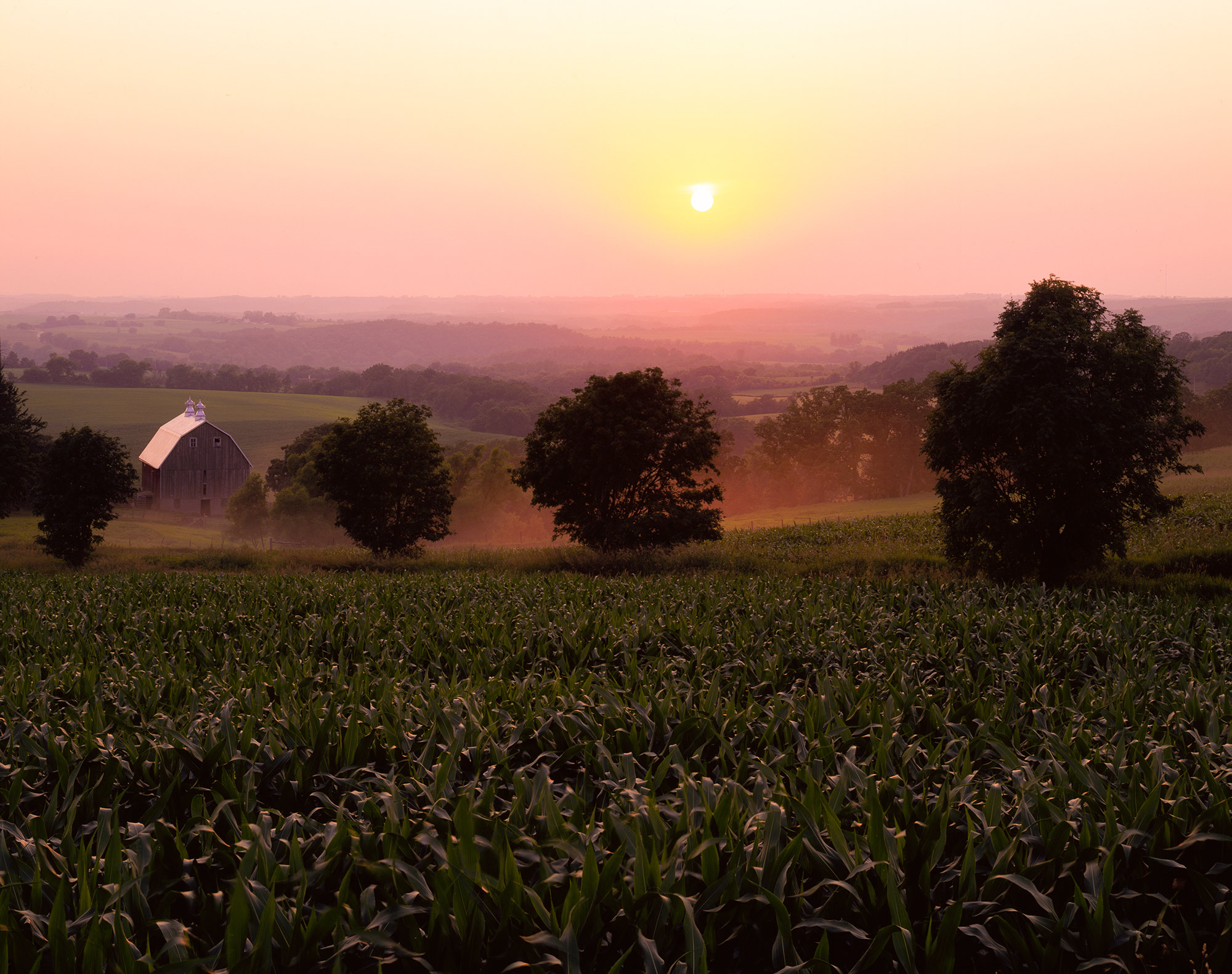 Harmony and Spam in Minnesota Bluff Country