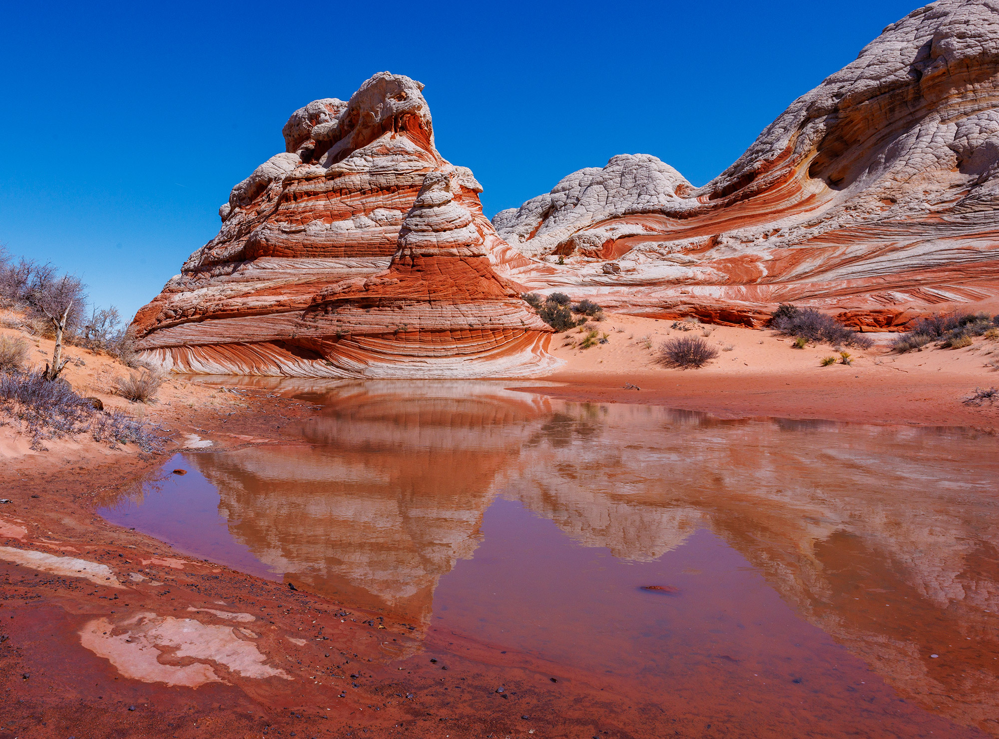 Rainbow Country | Vermilion Cliffs National Monument