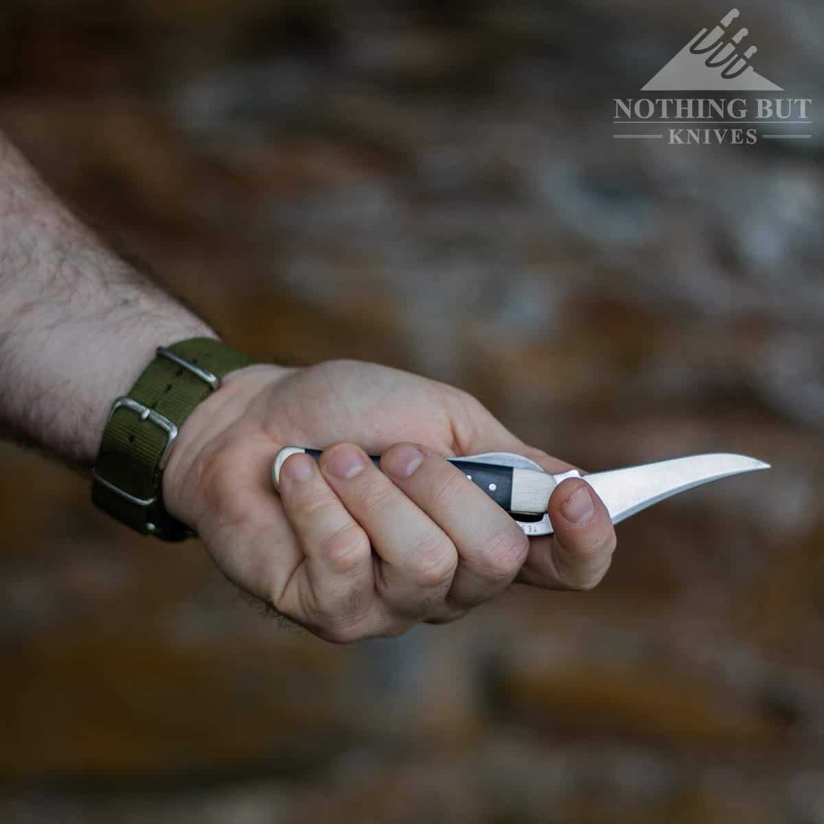 Case RussLock Review Nothing But Knives